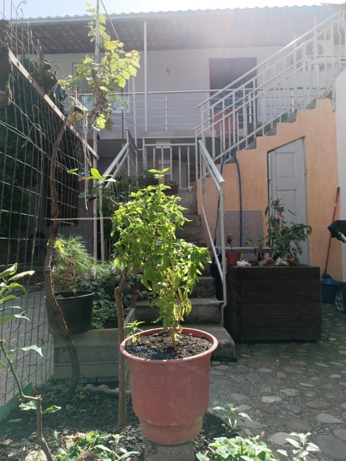 Sermi's House Shkodër